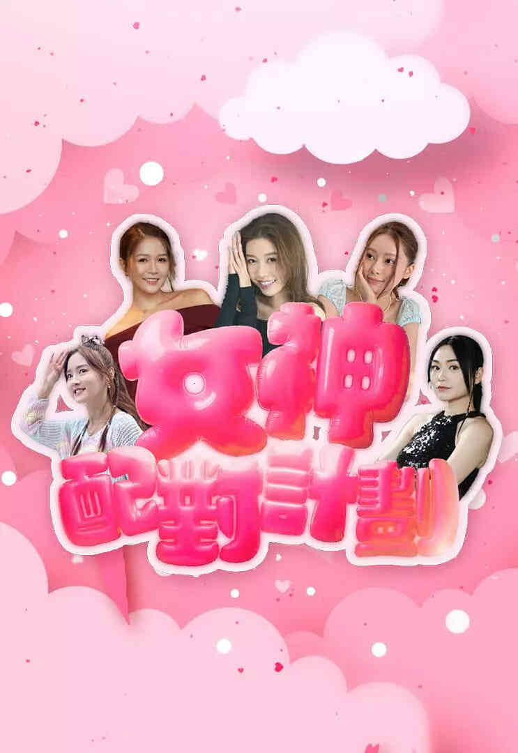 女神配对计划封面图