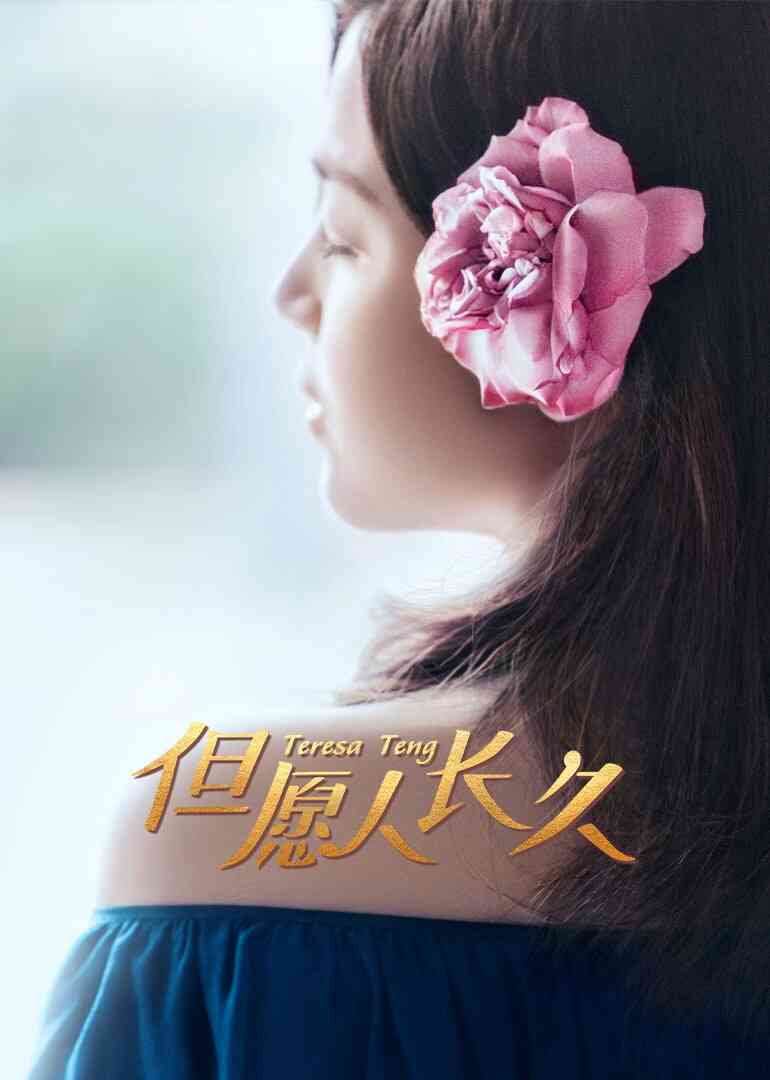 但愿人长久封面图