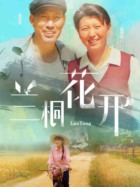 兰桐花开封面图