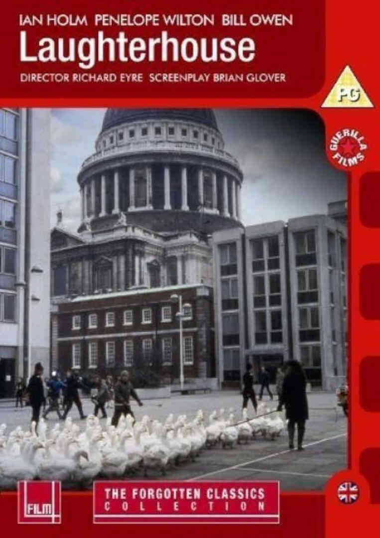 辛格尔顿的勇气封面图