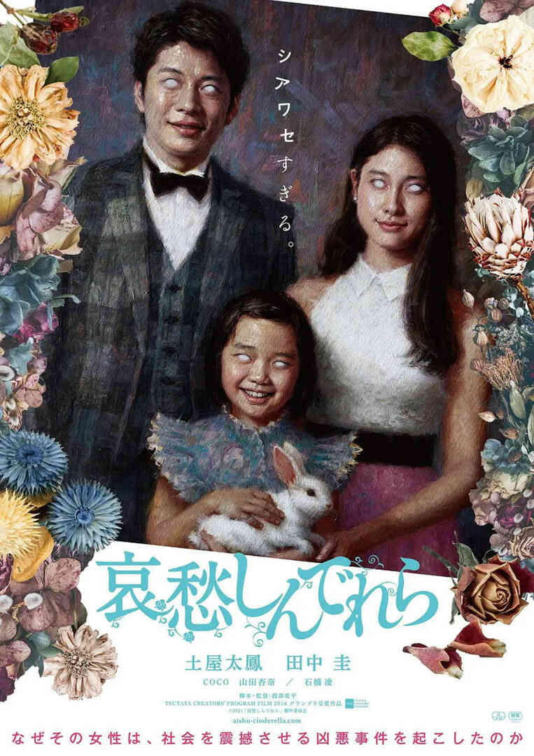 哀愁灰姑娘封面图