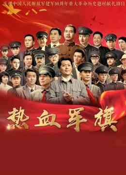 热血军旗封面图