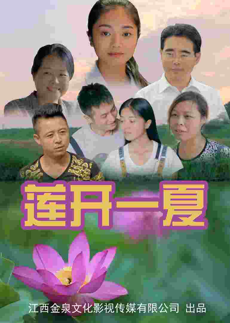 莲开一夏封面图
