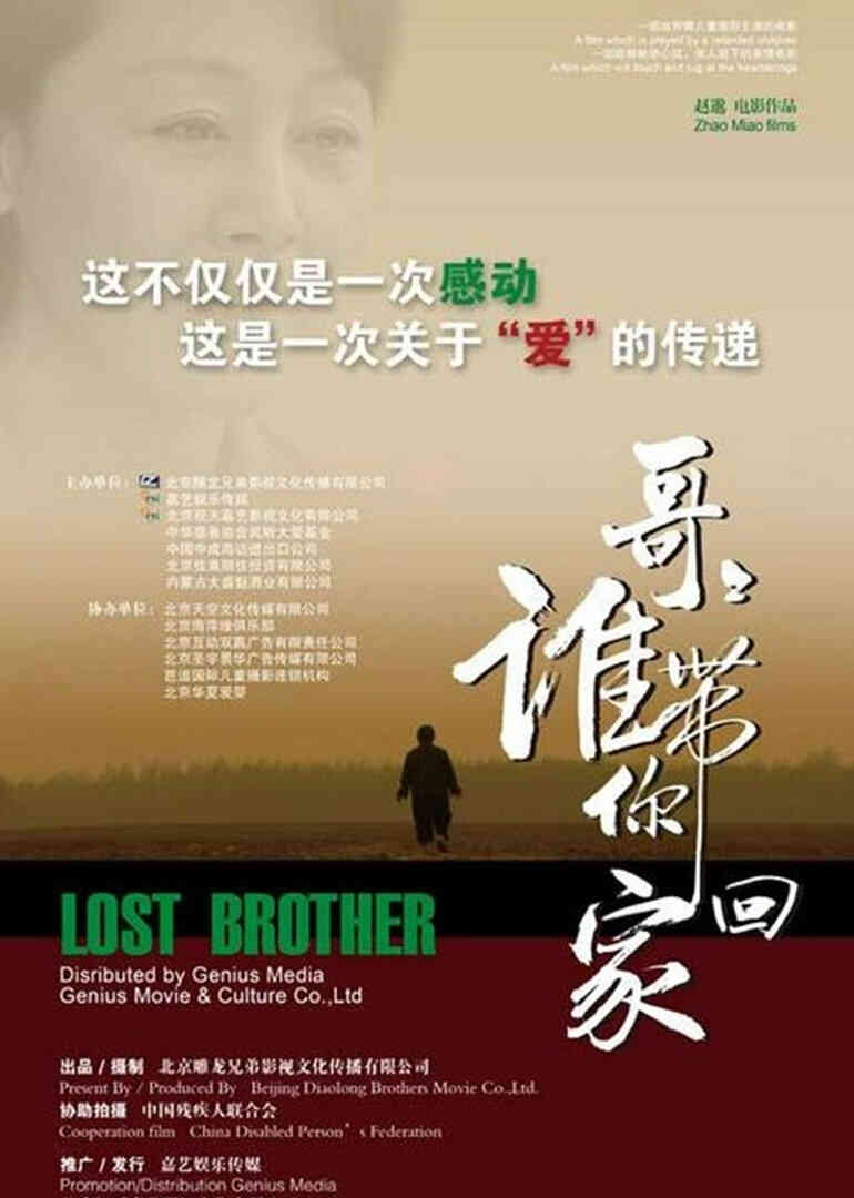 哥哥，谁带你回家封面图