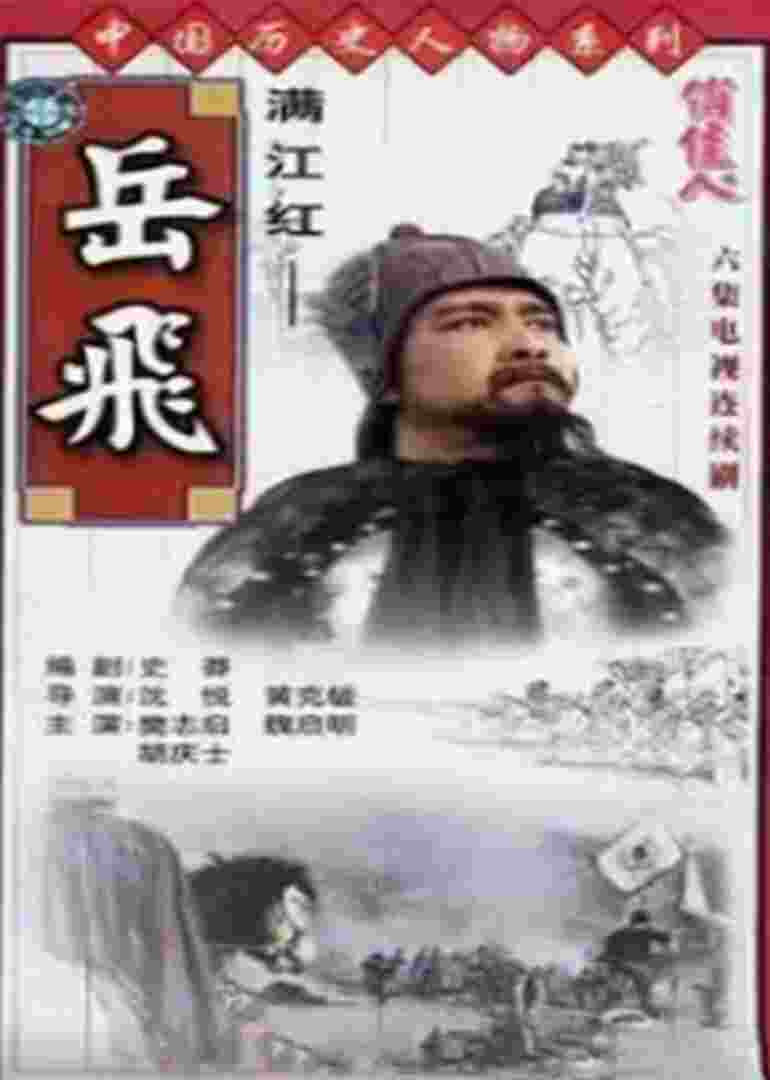 岳飞传封面图