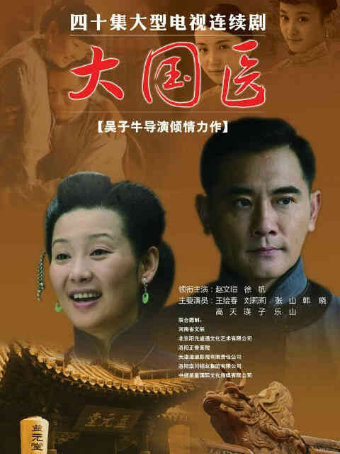 大国医封面图