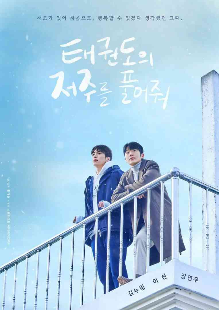 解开跆拳道的诅咒 第一季封面图