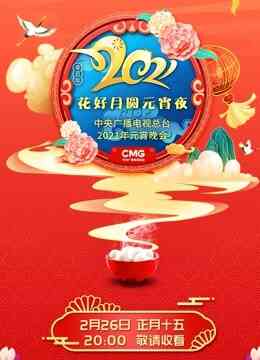 2021央视元宵晚会封面图