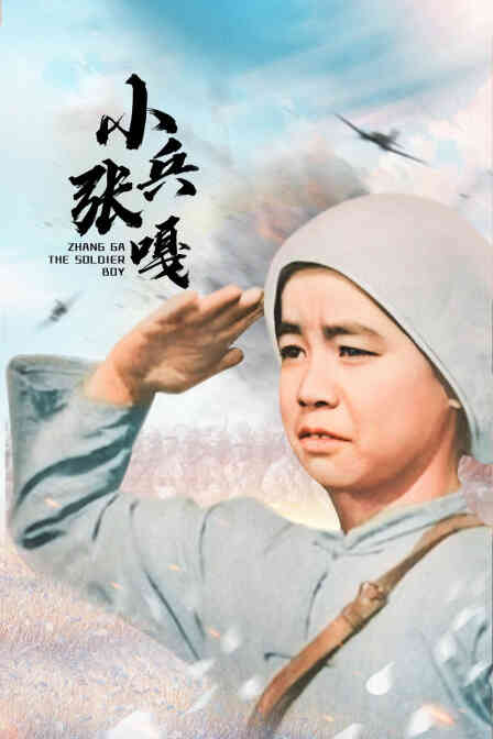 小兵张嘎封面图
