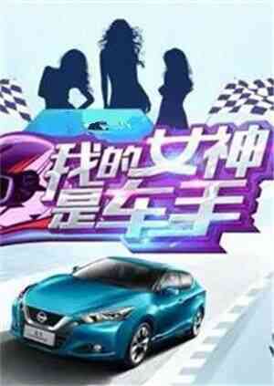我的女神是车手封面图