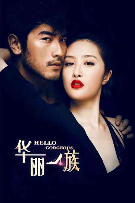 华丽一族 TV版封面图