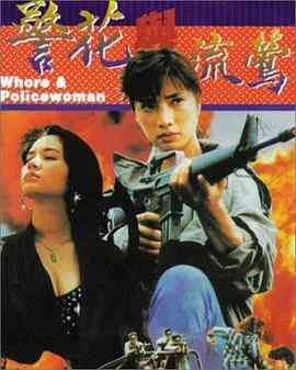 警花与流莺封面图