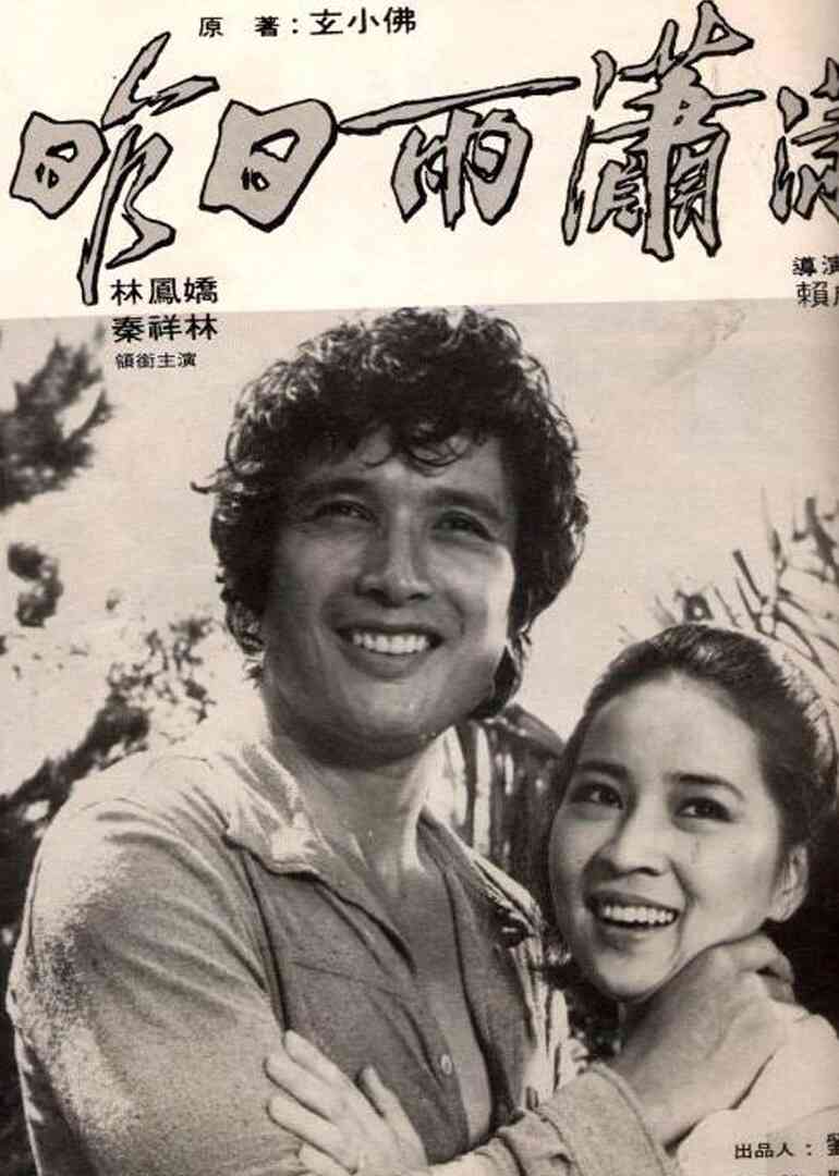 风雨情封面图