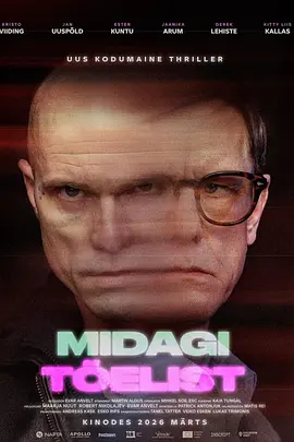 真实之物 Midagi tõelist封面图
