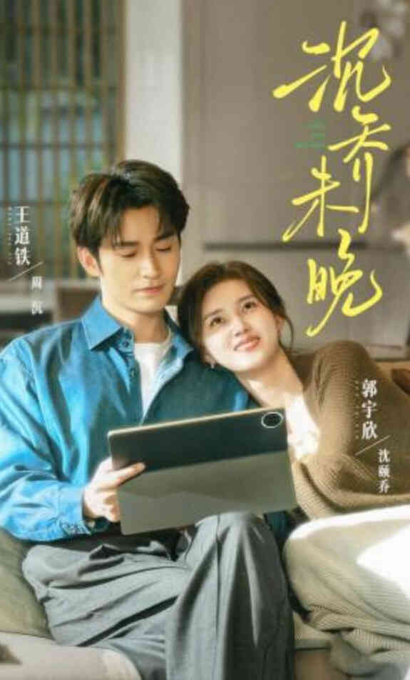 沉乔未晚封面图
