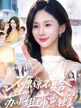 不原谅不复合，苏小姐带崽独美封面图