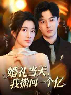 婚礼当天，我撤回一个亿封面图