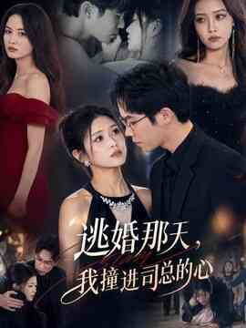 逃婚那天，我撞进司总的心封面图