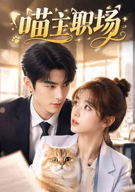 喵主职场封面图