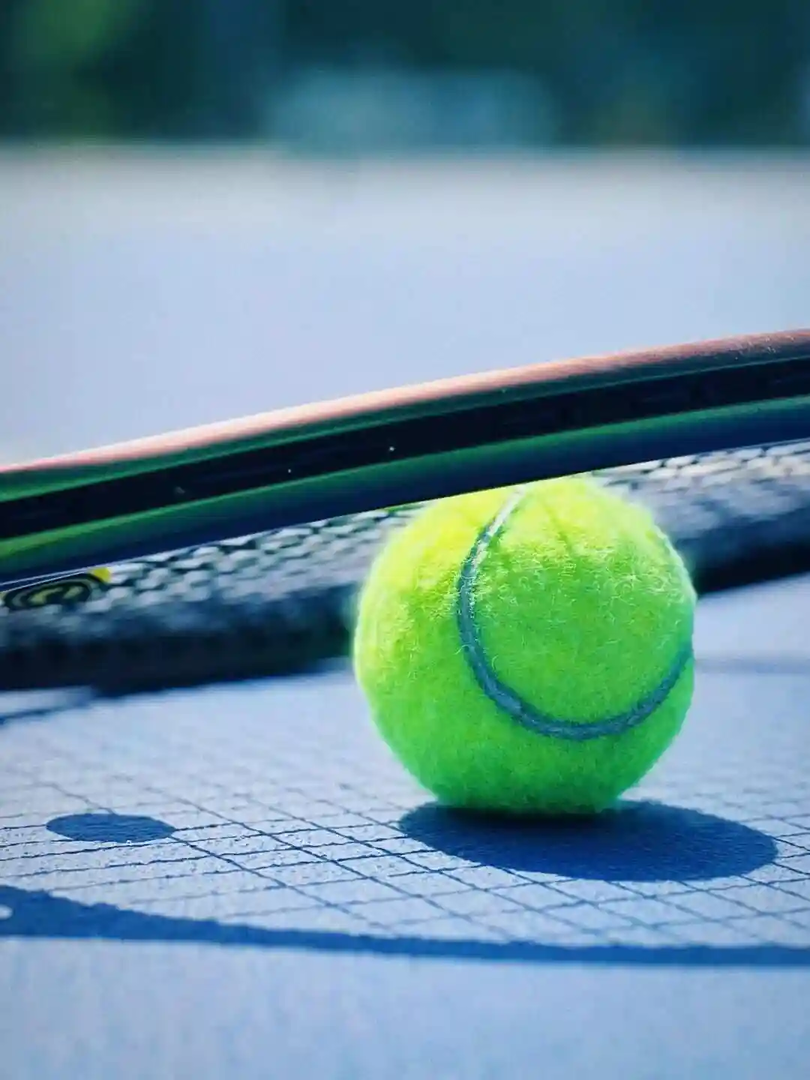 WTA1000多伦多站女单第一轮：博尔特VS克罗斯封面图